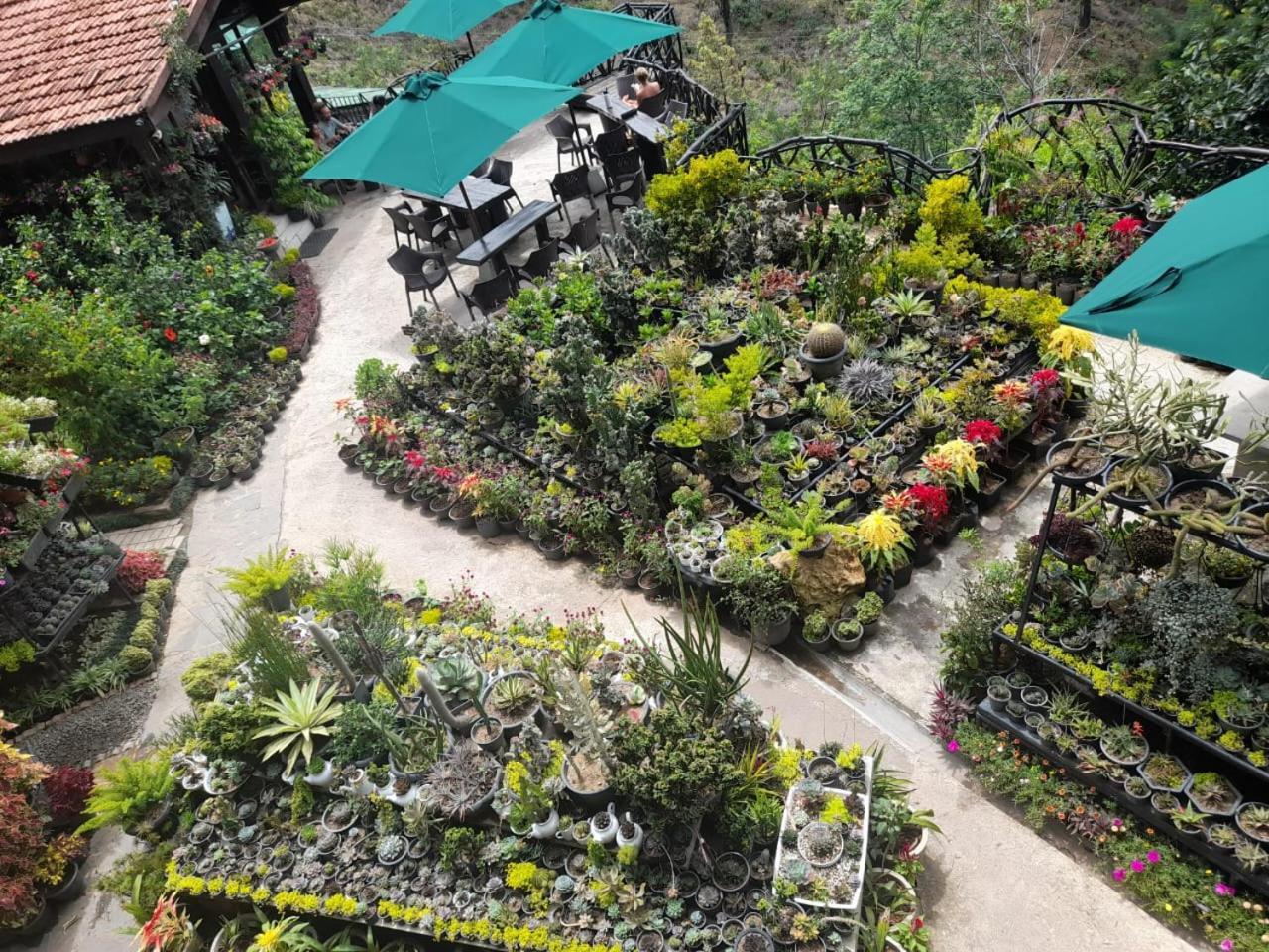 Ella Flower Garden Resort Zewnętrze zdjęcie
