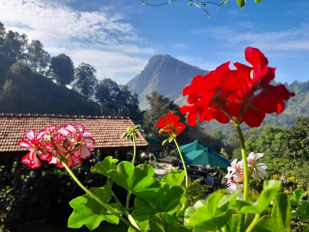 Ella Flower Garden Resort Zewnętrze zdjęcie